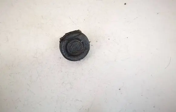 Renault Kangoo II Front door speaker 8200304435