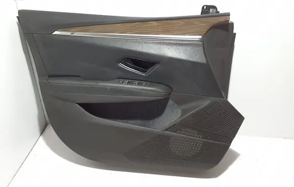 Renault Megane E-Tech Front door card panel trim 809019742R