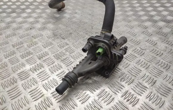 Thermostat/thermostat housing