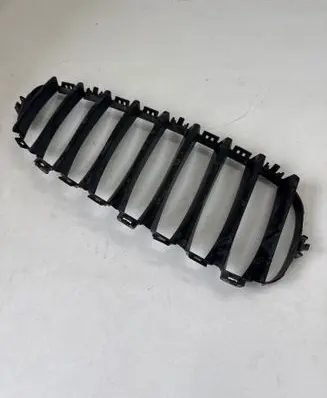 BMW Z4 E89 Front grill 10627110