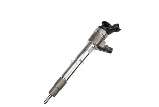 Renault Espace V (RFC) Fuel injector 0445110896 166000849R