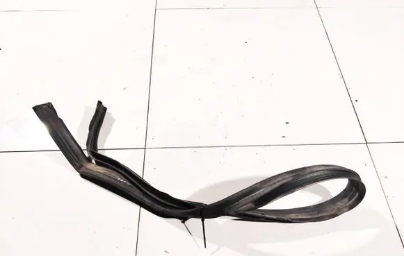 Renault Trafic II (X83) Rubber seal rear door 