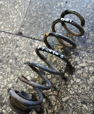 Rear coil spring