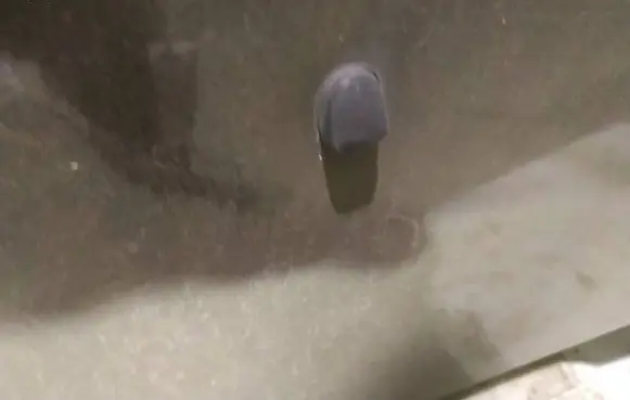 Ford Maverick Windshield washer spray nozzle 