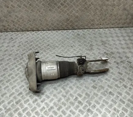 Porsche Cayenne (9PA) Air suspension front shock absorber 7L5616039