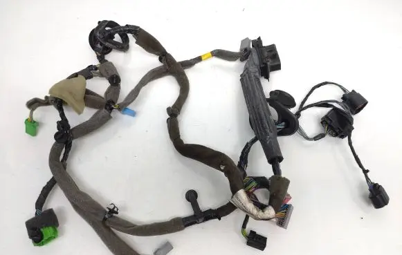 Front door wiring loom