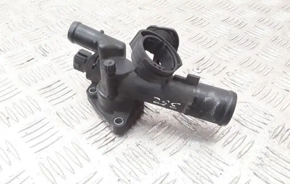 Thermostat/thermostat housing
