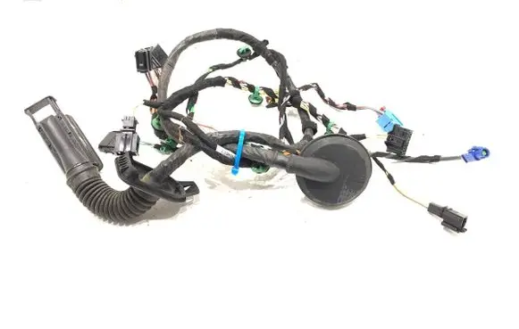 Volkswagen PASSAT B8 Front door wiring loom 