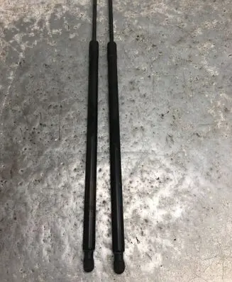 Tailgate strut