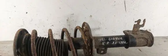 Opel Signum Front shock absorber with coil spring