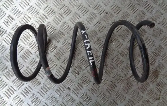 Rear coil spring