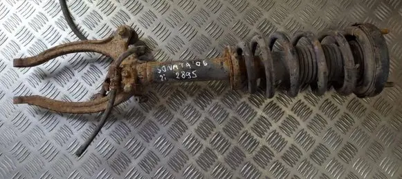 Hyundai Sonata Front shock absorber/damper