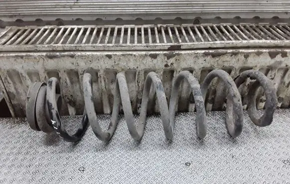 Skoda Roomster (5J) Rear coil spring