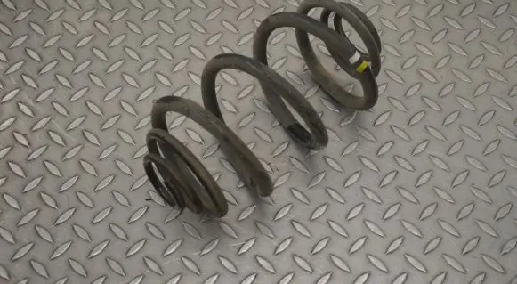 Renault Trafic III (X82) Rear coil spring