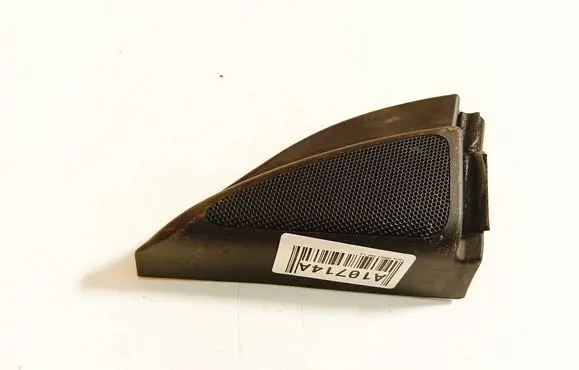 Side speaker trim/cover