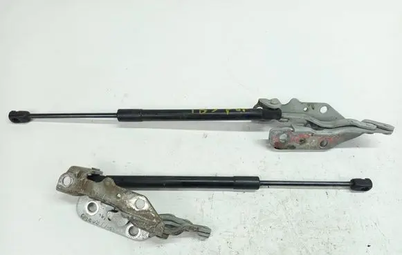 SsangYong Rodius Engine bonnet/hood hinges RDIUSAWIAS