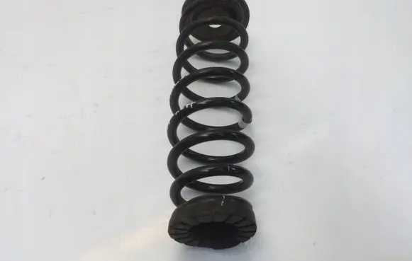 Hyundai Ioniq Rear coil spring 55350G2050
