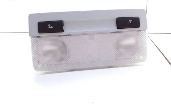 Opel Insignia A Front seat light 167352 316627975