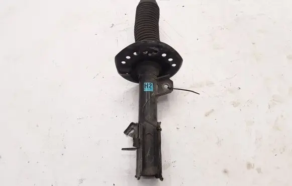 Renault Koleos I Front shock absorber/damper