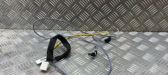 Citroen C4 Grand Picasso Front door wiring loom 4624377