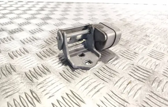 Renault Megane II Rear door lower hinge