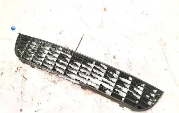 Front bumper lower grill