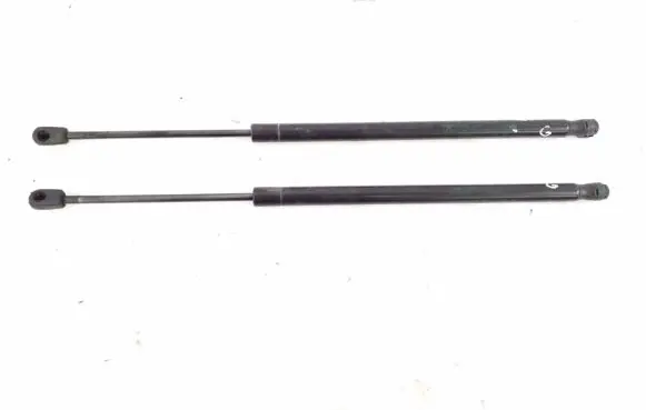 Tailgate strut
