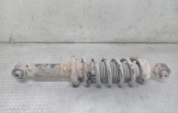 Peugeot 407 Rear shock absorber with coil spring 
