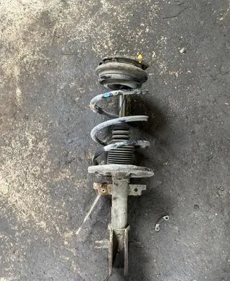 Renault Laguna II Front shock absorber/damper