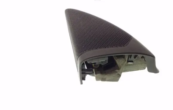 Front door high frequency speaker