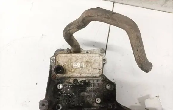 Chevrolet Cruze Engine oil radiator 96868256