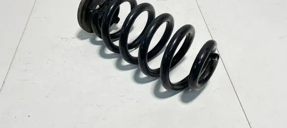 Rear coil spring