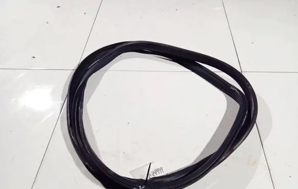 Honda Accord Rubber seal front coupe door 