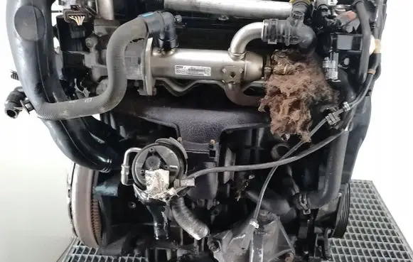 Citroen C5 Engine RHR10DYTZ
