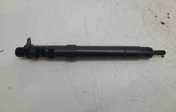 Peugeot Expert Fuel injector 9686191080 LP7E95 1664DF13F44