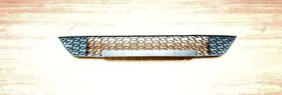 Front bumper lower grill