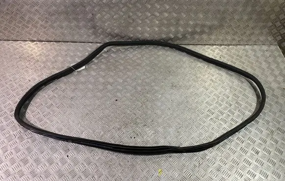 Rear door rubber seal (on body)