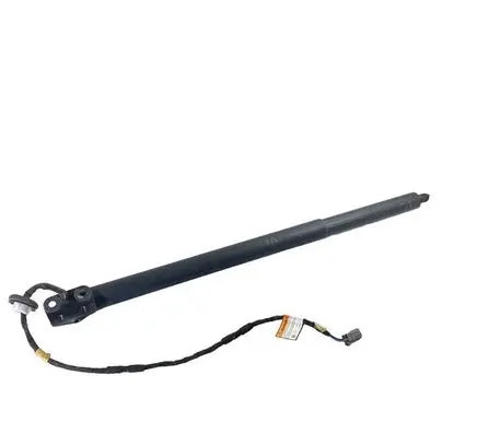 Ford Escape IV Tailgate/trunk strut/damper LJ6BS402A55AB