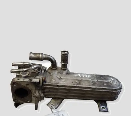 Volkswagen Golf V EGR valve 038131513AD