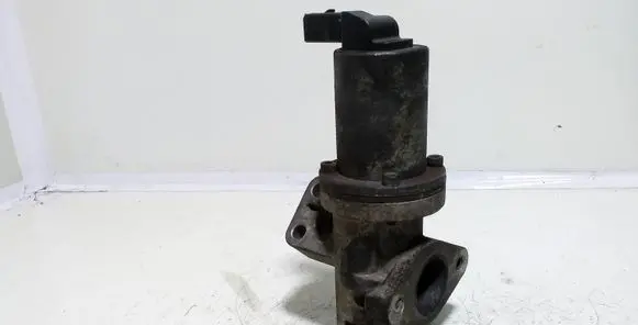 EGR valve