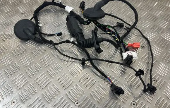 Rear door wiring loom
