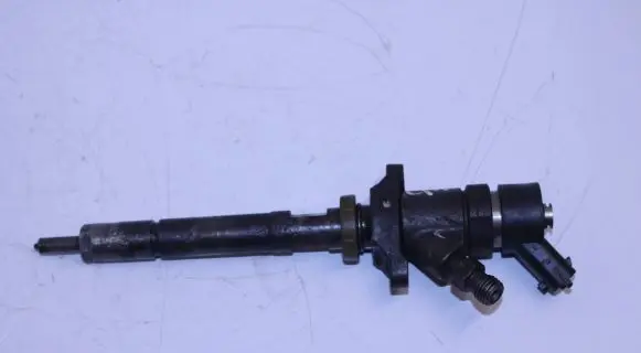 Ford Focus C-MAX Fuel injector 0445110188 00201290 892080