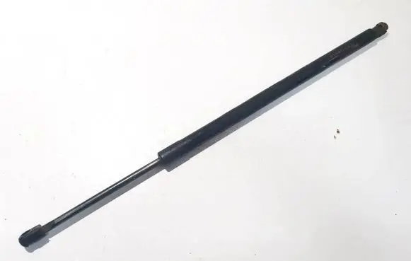 Chrysler Pacifica Tailgate/trunk strut/damper
