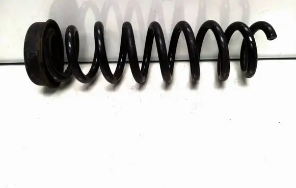 Rear coil spring