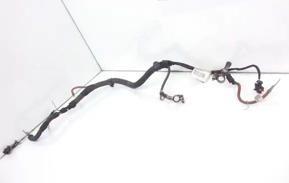 Opel Meriva A Negative earth cable (battery) 55564207