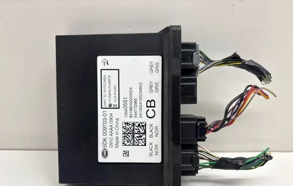 Opel Insignia A Keyless (KESSY) go control unit/module 5DK00970301 544772965 13580551