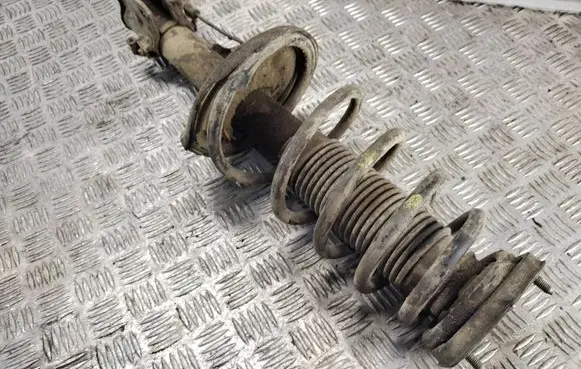 Hyundai Tucson JM Rear shock absorber with coil spring 