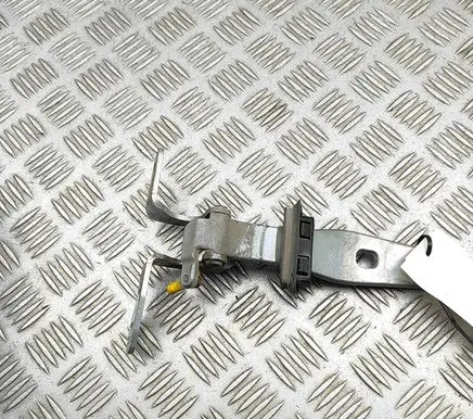 BMW X3 F25 Tailgate/trunk/boot hinge 7463365