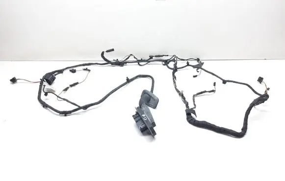 BMW 5 F10 F11 Front door wiring loom 9256002