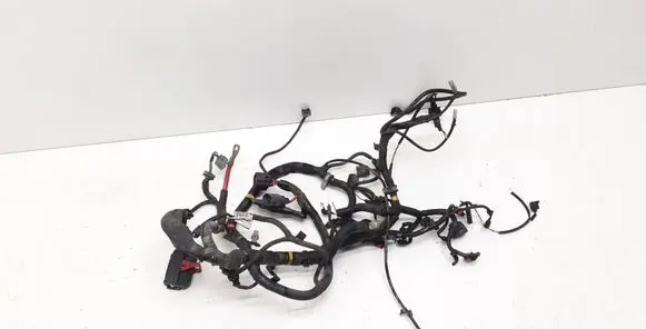 Engine installation wiring loom